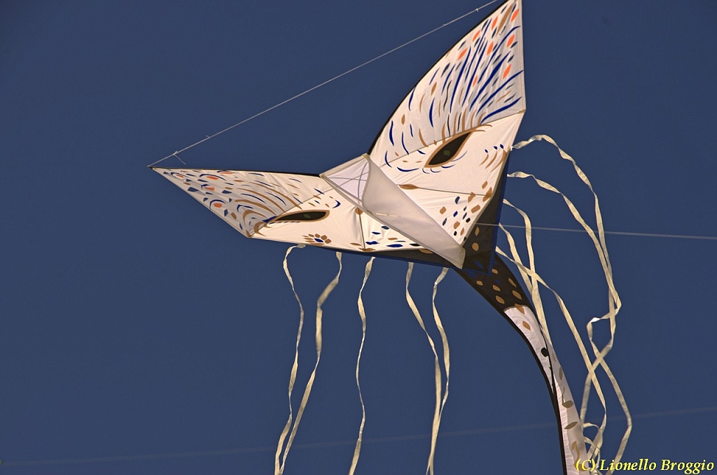 32 FESTIVAL CERVIA 2012 - 224.jpg